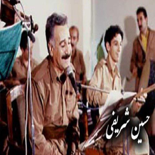 Hossein - دانلود آهنگ حسین شریفی به نام آشفته حالم له غمت