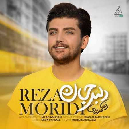 Reza Moridi Delbar Jan www.ahang kordi.ir  - دانلود آهنگ رضا مریدی بنام  دلبر جان